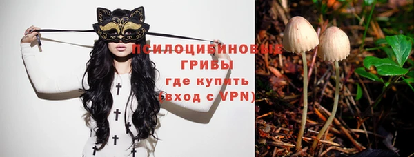 дмт Балабаново