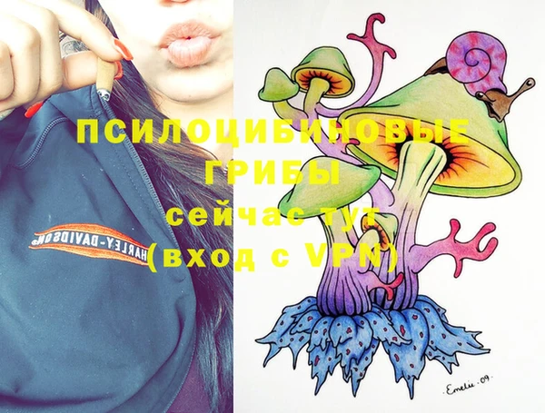 дмт Балабаново