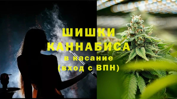 индика Беломорск